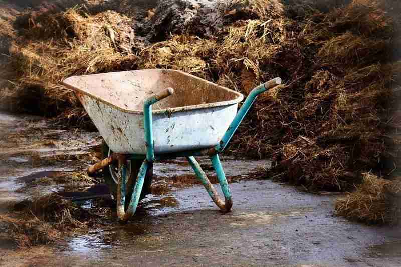 homemade fertilizer for potatoes