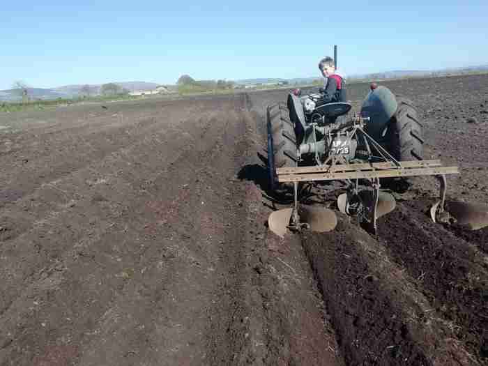 ferguson tractor drilling in peat soil