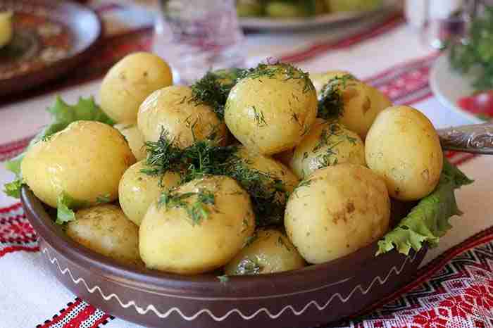 a bowl of boiled potatoes with dill on top