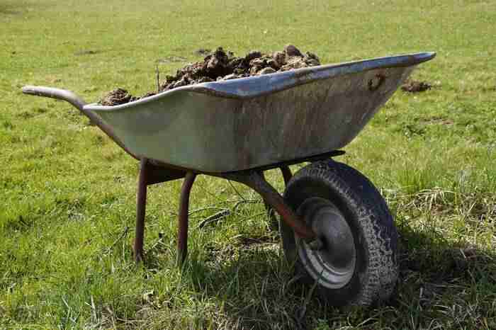 a wheelbarrow of farmyard manure