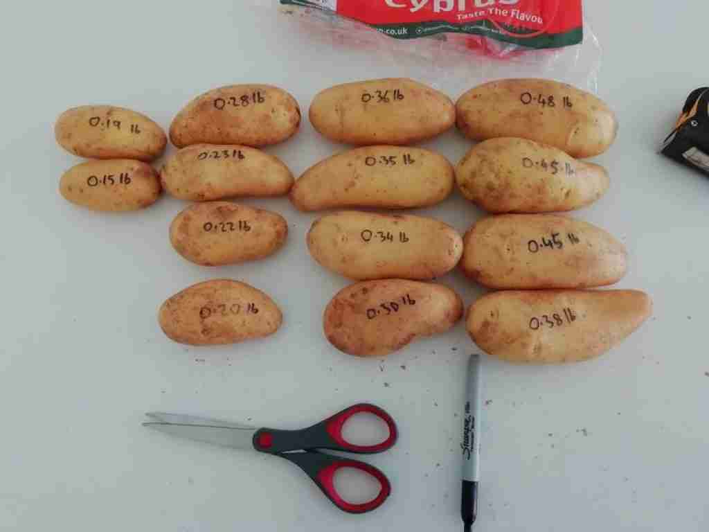 How Many Potatoes In A Pound Quick And Easy GrowerExperts