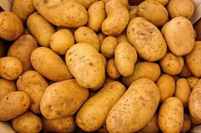 Maris piper potatoes -best potatoes for french fries