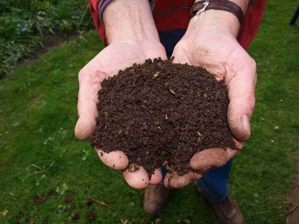 how to mix compost into soil man holding soil mixed compost in his hands