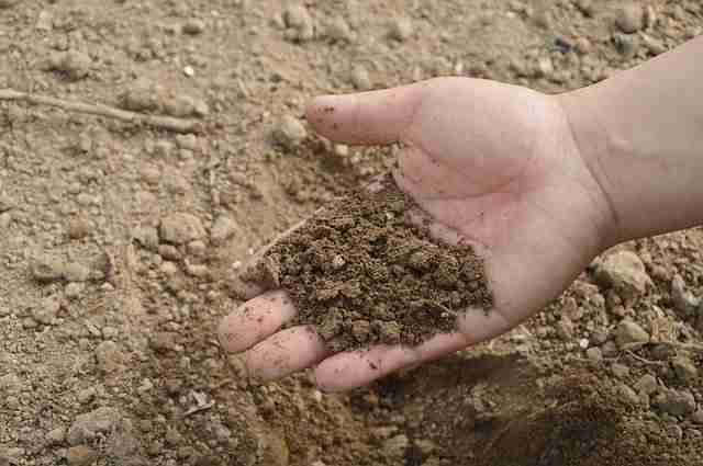 mans hand holding loam soil