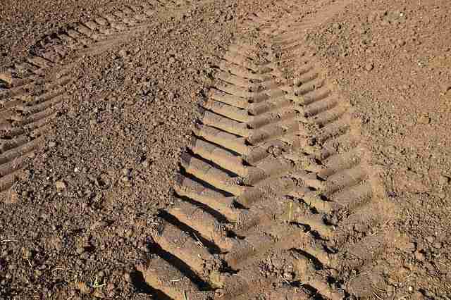 bare soil with no organic covering