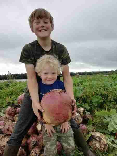 What are the differences between turnips and swedes -Harry and James holding a large swede in the field as big as a mans head.