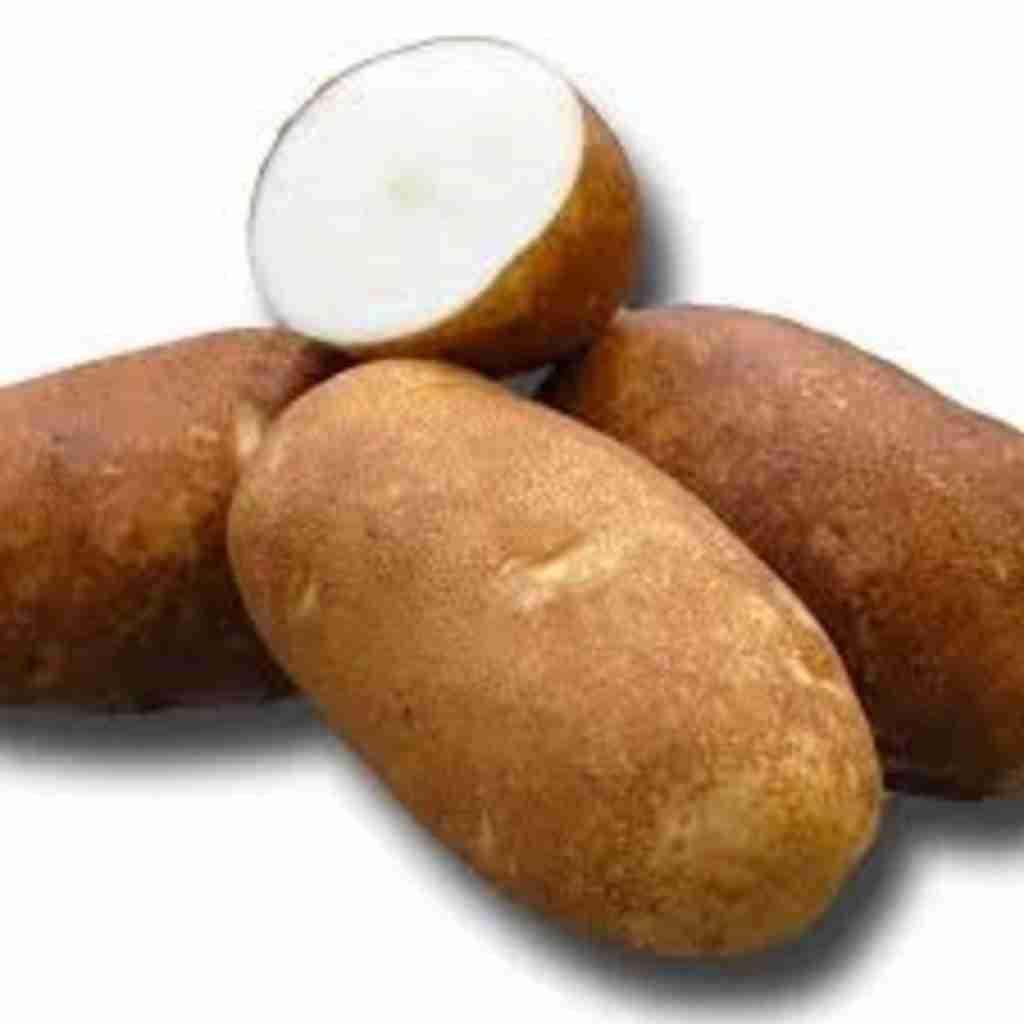 russet norkotah potatoes