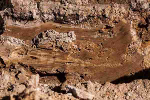 growing potatoes in clay soil