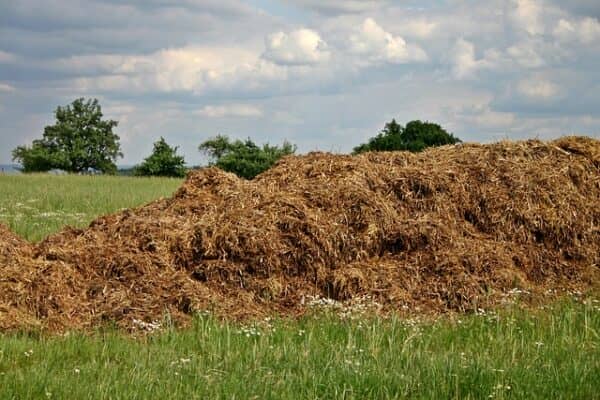 a pile of farmyard manure in a field