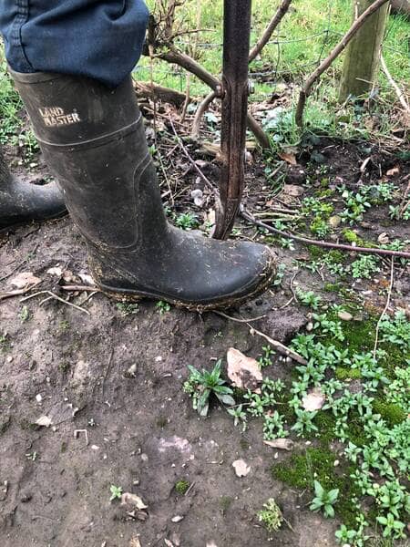 a mans wellington pushing a spade the full depth into the soil