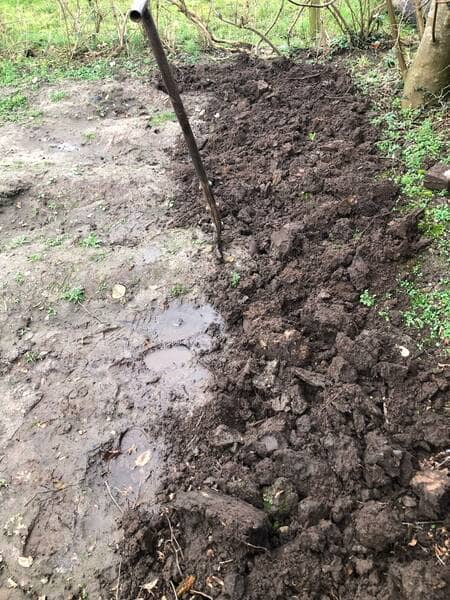 an image of the vegetable plot being dug from left to right