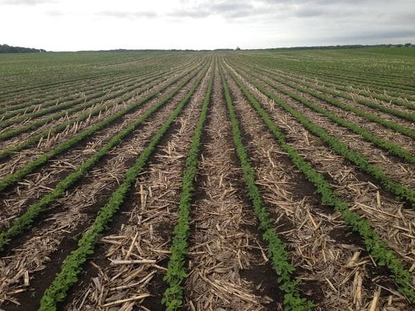 strip tillage in a field