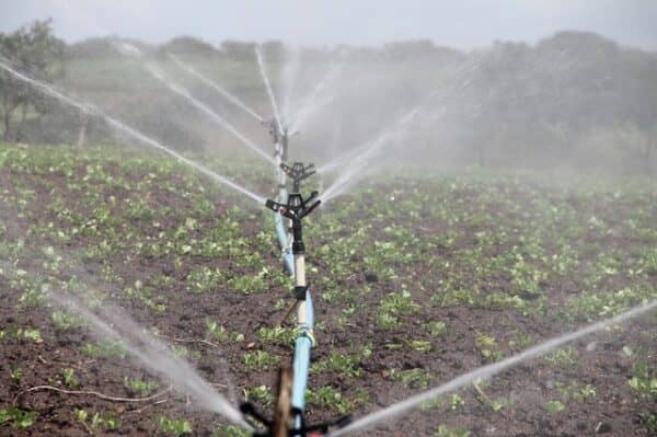 watering soil for vegetables