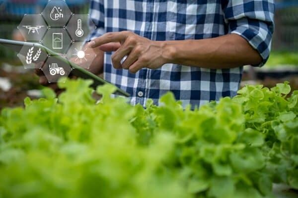 using IoT for agriculture