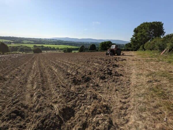 tilling soil to plant swedes